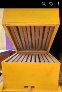 Langstroth Hive